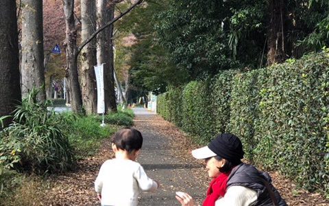 いも街道