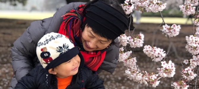 桜