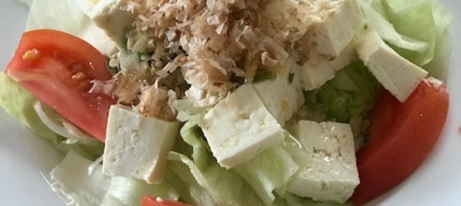 今日のお散歩