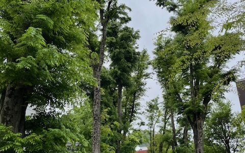 老眼は人生を美しく魅せる 老眼は人生を美しく魅せる
