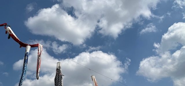 ヨガのお知らせ*6月の予定 ヨガのお知らせ*6月の予定