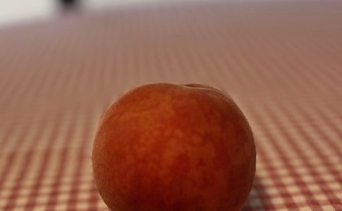 信頼
