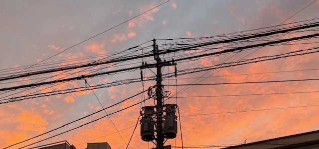 インフルエンザ