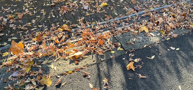 11.23ヨガレッスンの休講