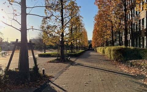 食べ物で治す 食べ物で治す
