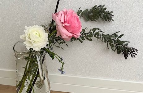 にこにこヨガ３月の予定